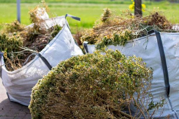 Best Estate Cleanout  in Edgemere, MD